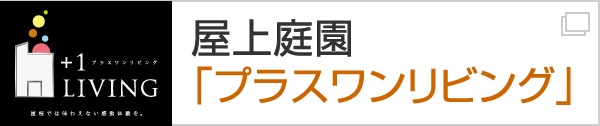 屋上庭園「プラスワンリビング」プラスワンリビングは東邦レオ(株)が提案する、木造住宅の新しいライフスタイルです。
